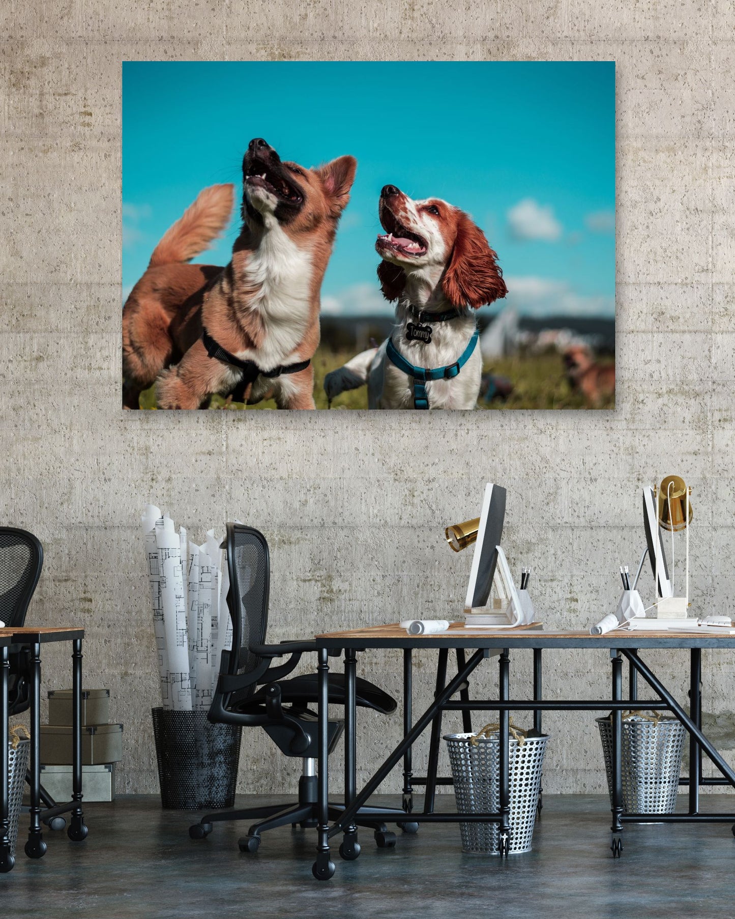 Animal 453 - @UPGallery