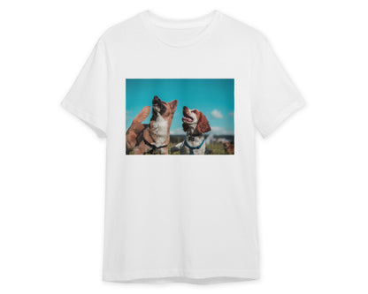 Animal 453 - @UPGallery