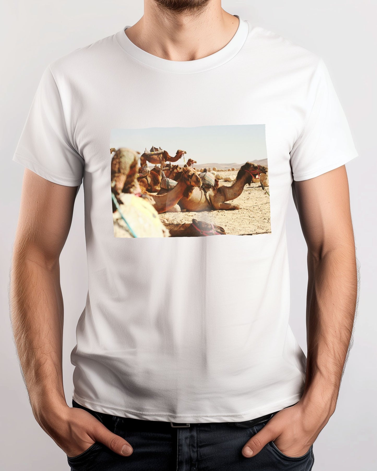 Animal 455 - @UPGallery