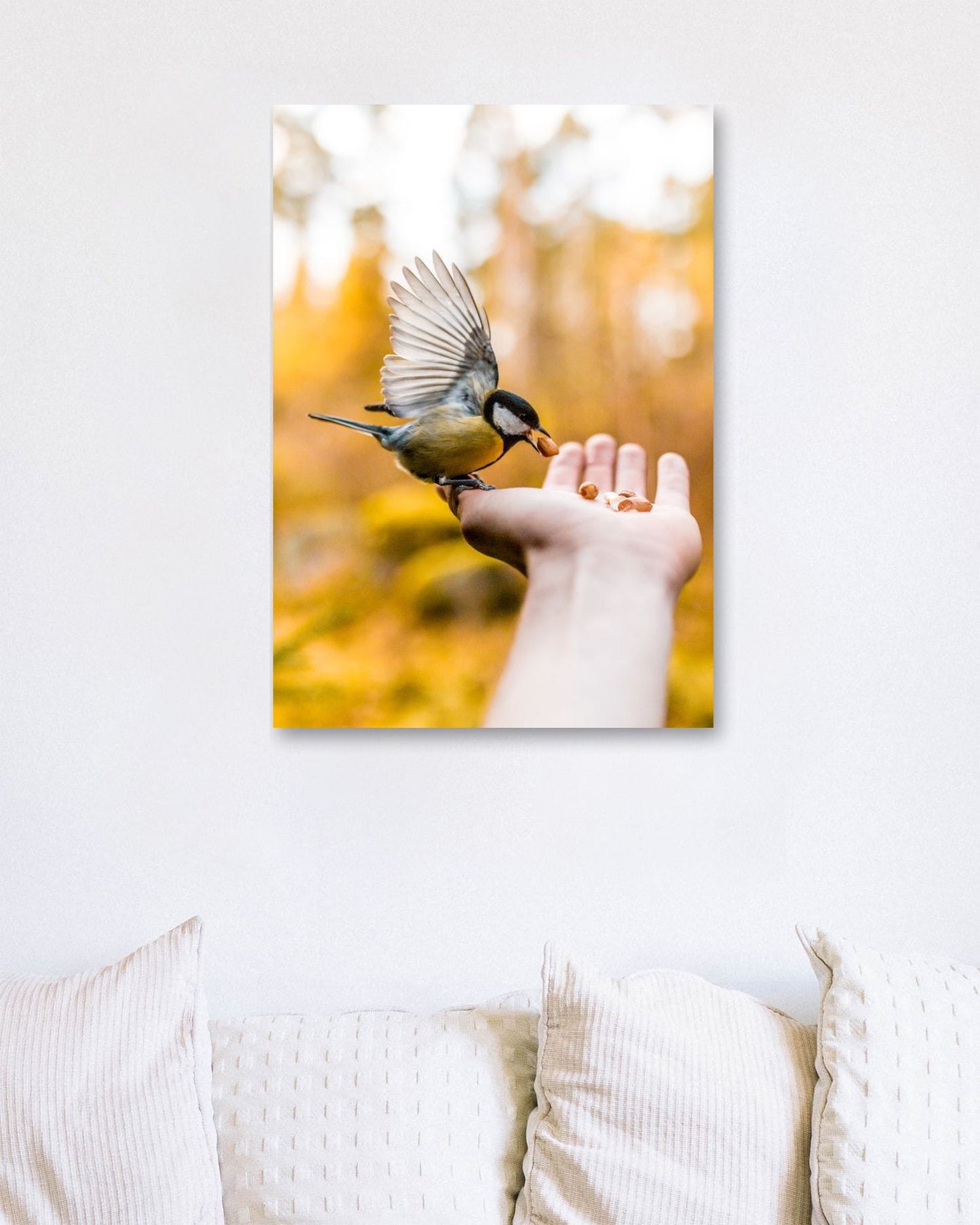 Animal 457 - @UPGallery