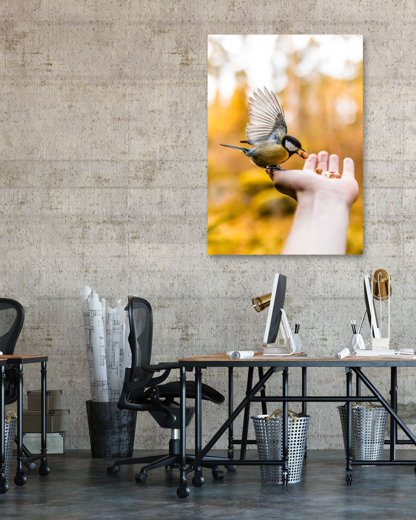 Animal 457 - @UPGallery