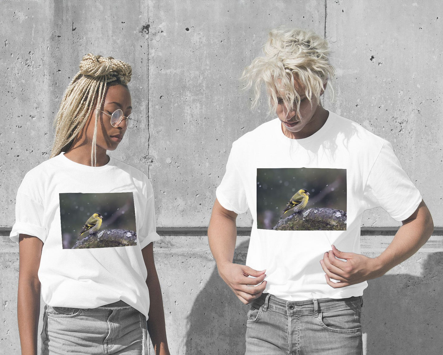 Animal 458 - @UPGallery