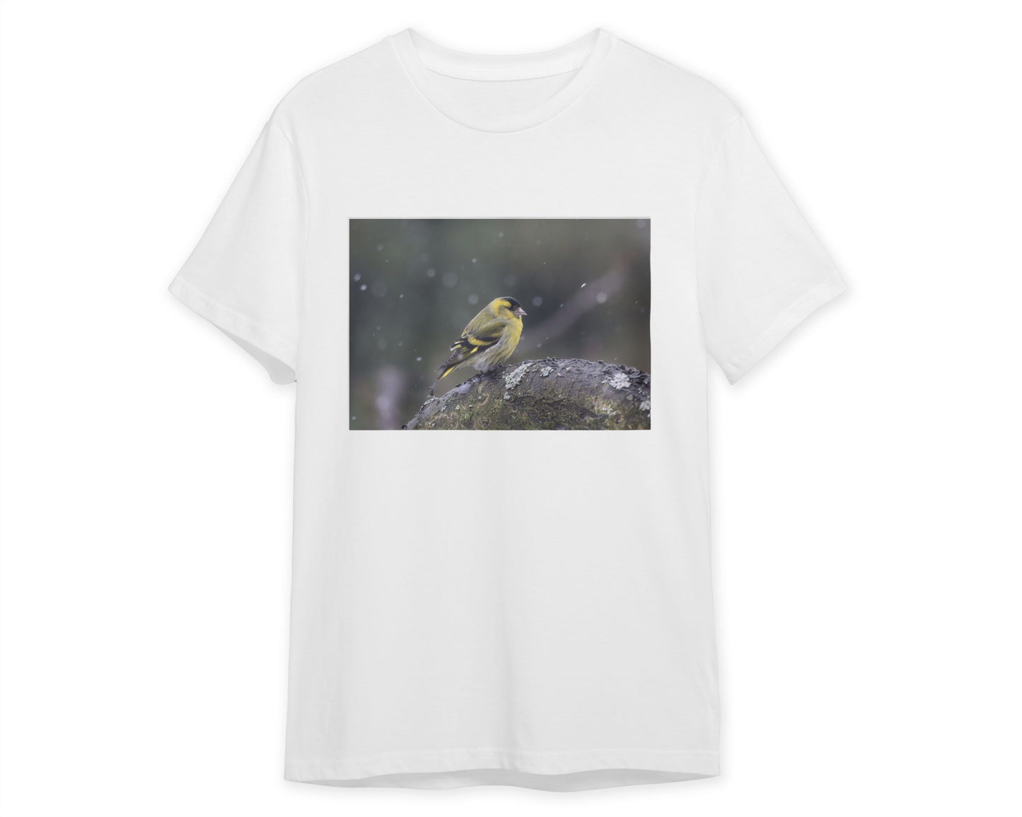 Animal 458 - @UPGallery