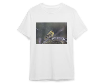 Animal 458 - @UPGallery