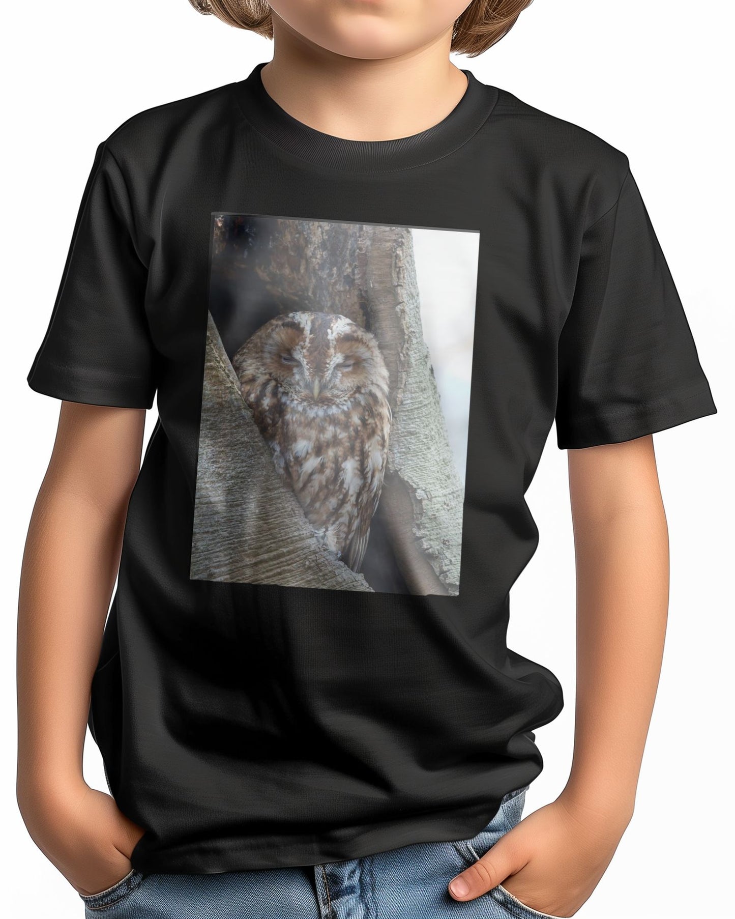 Animal 460 - @UPGallery