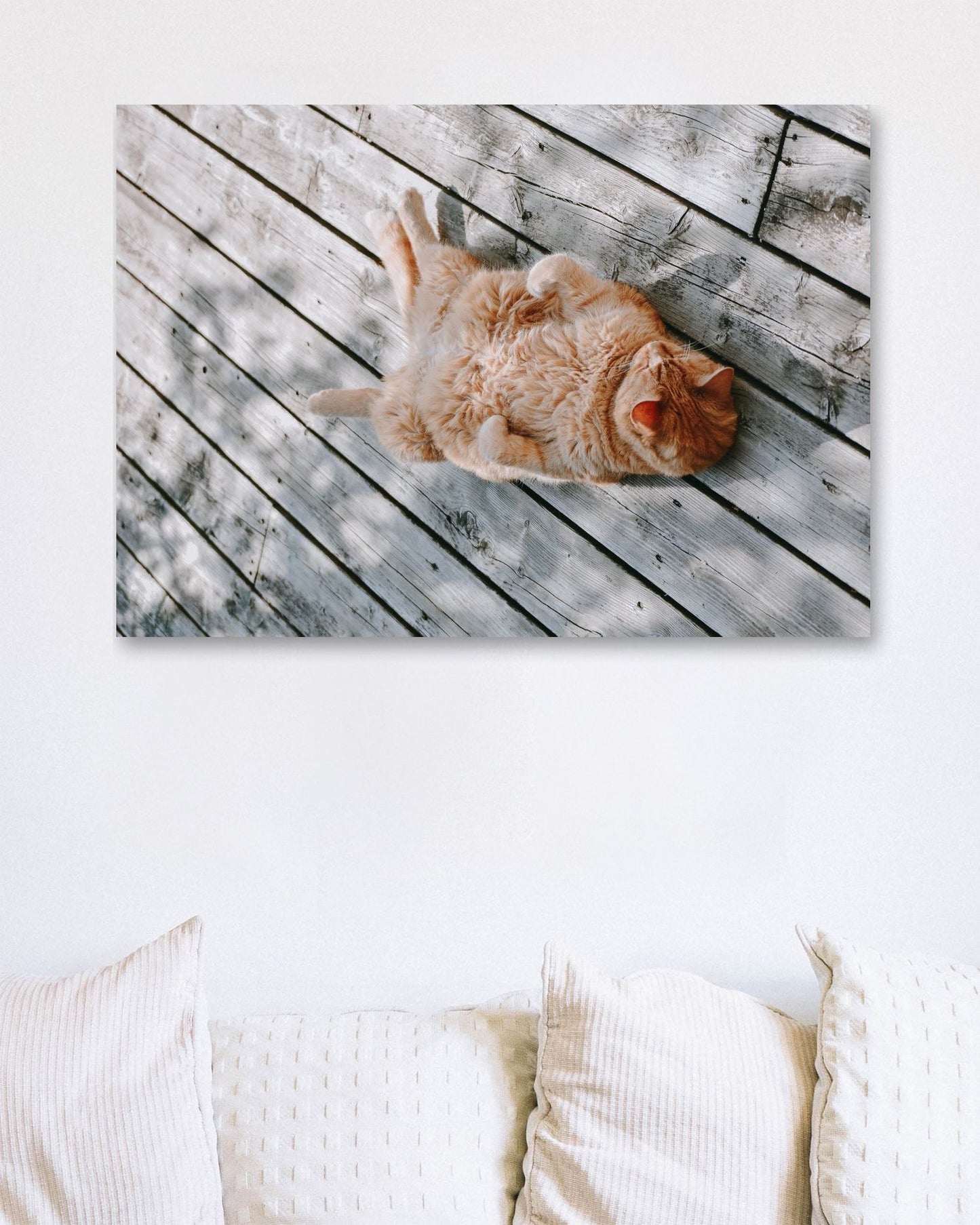 Animal 461 - @UPGallery