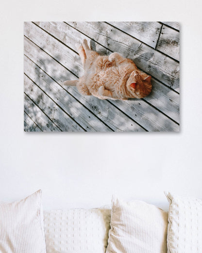 Animal 461 - @UPGallery