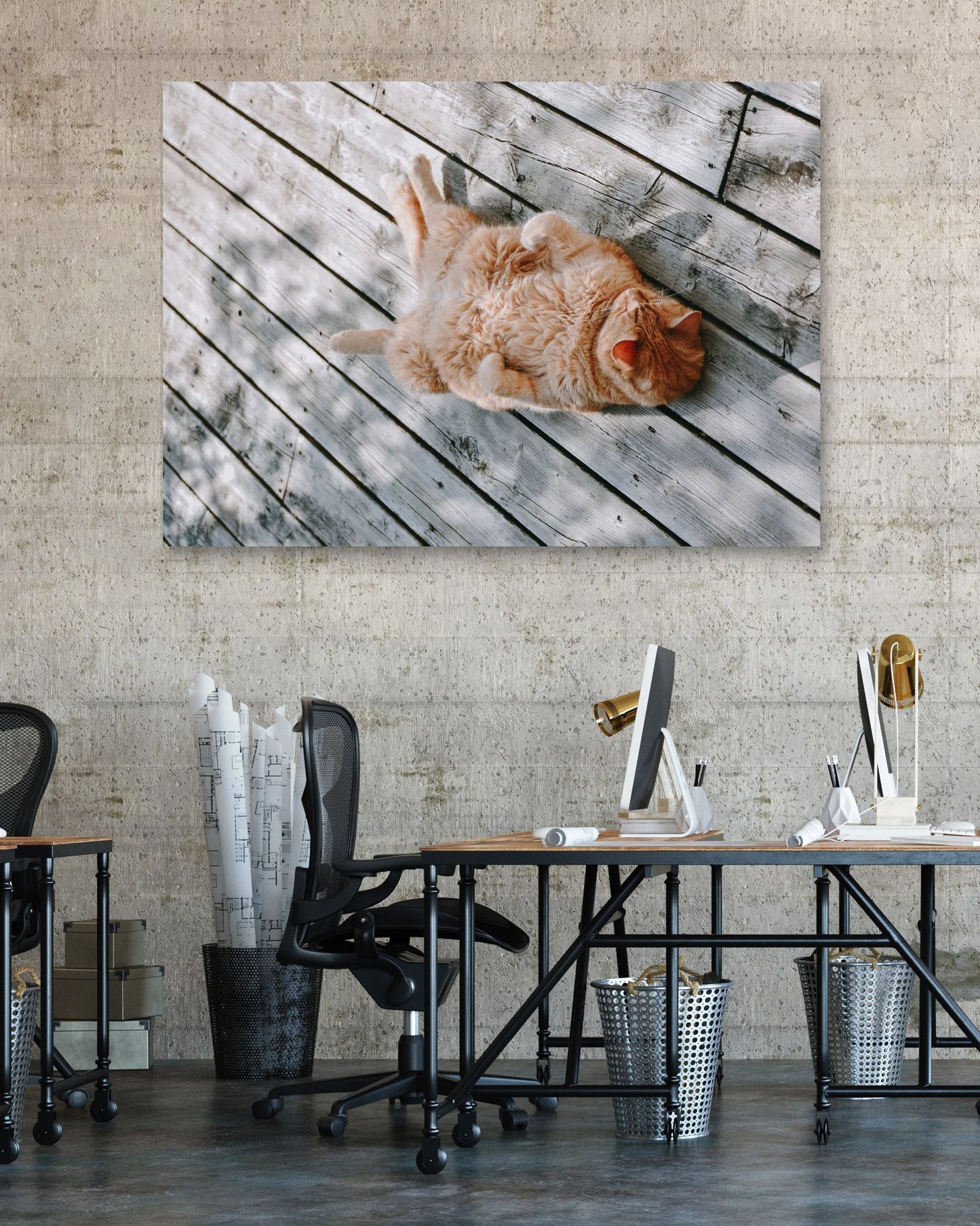 Animal 461 - @UPGallery