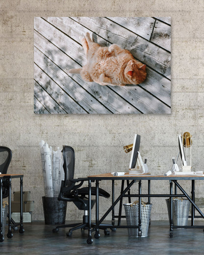 Animal 461 - @UPGallery