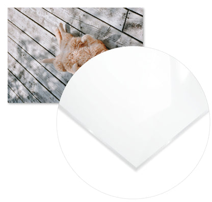 Animal 461 - @UPGallery