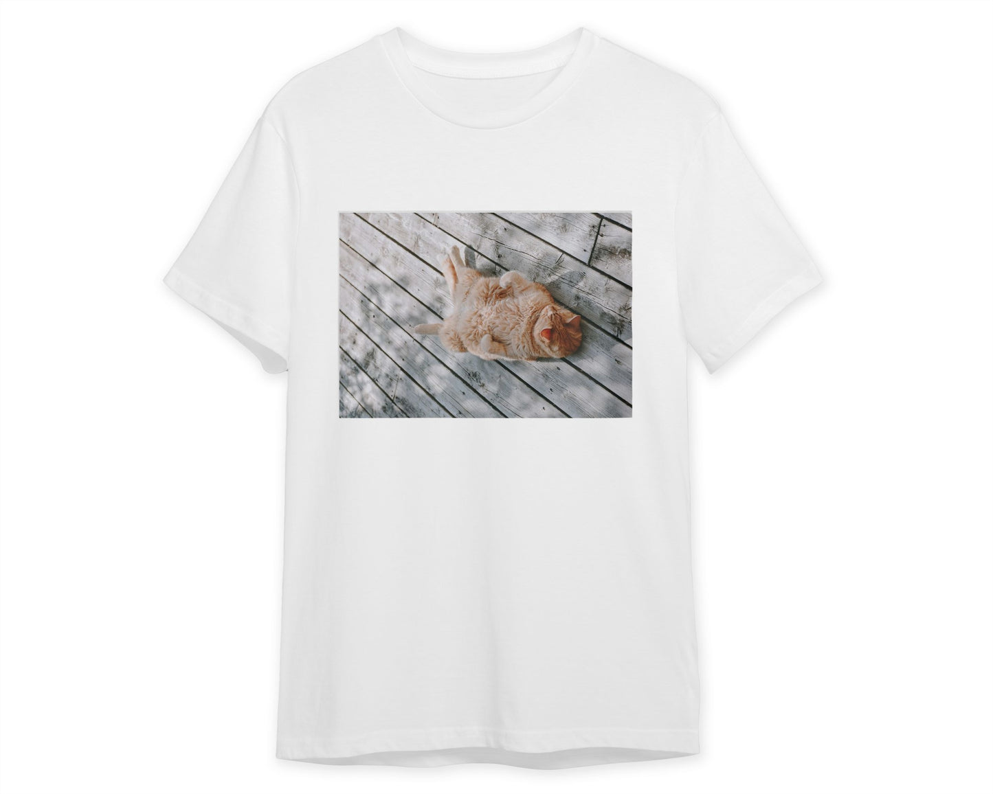 Animal 461 - @UPGallery