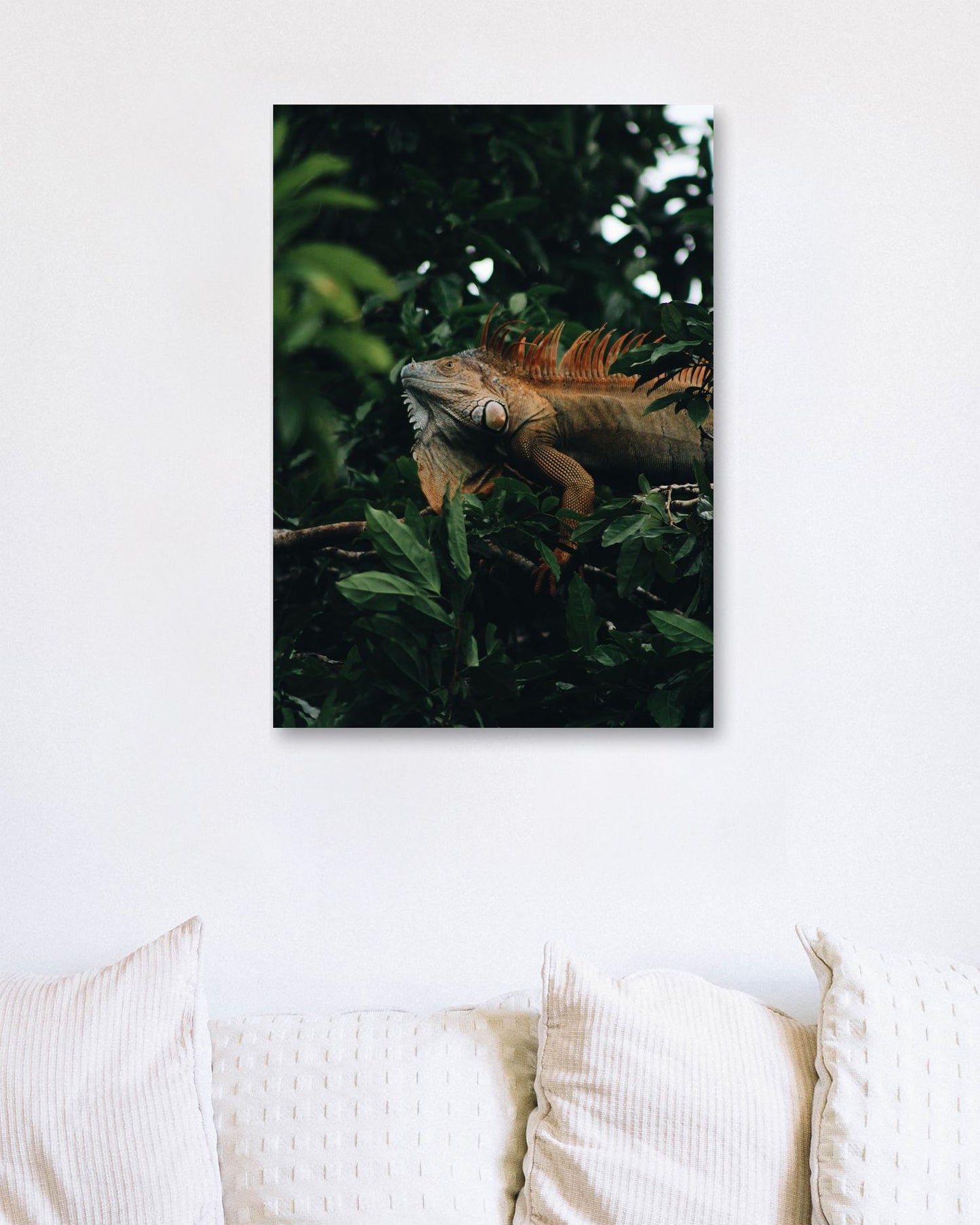 Animal 463 - @UPGallery