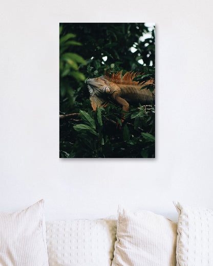 Animal 463 - @UPGallery