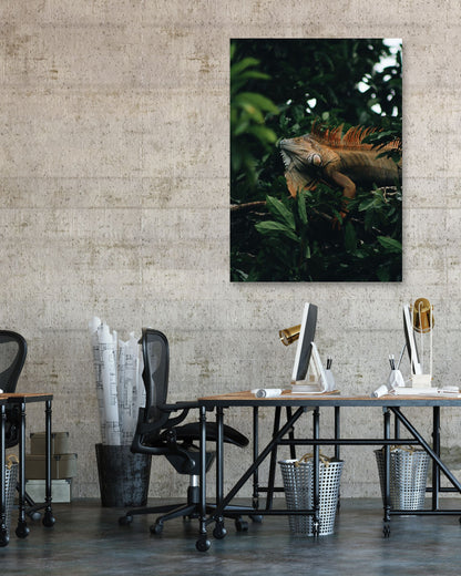 Animal 463 - @UPGallery