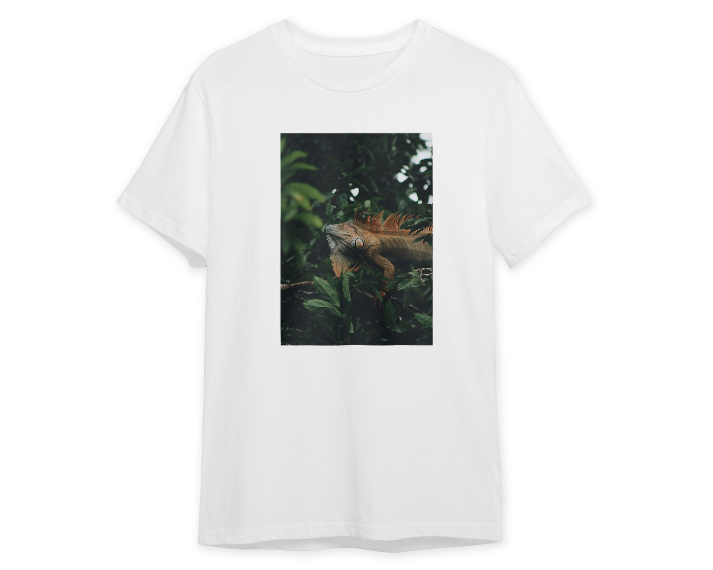 Animal 463 - @UPGallery