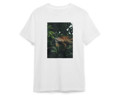 Animal 463 - @UPGallery