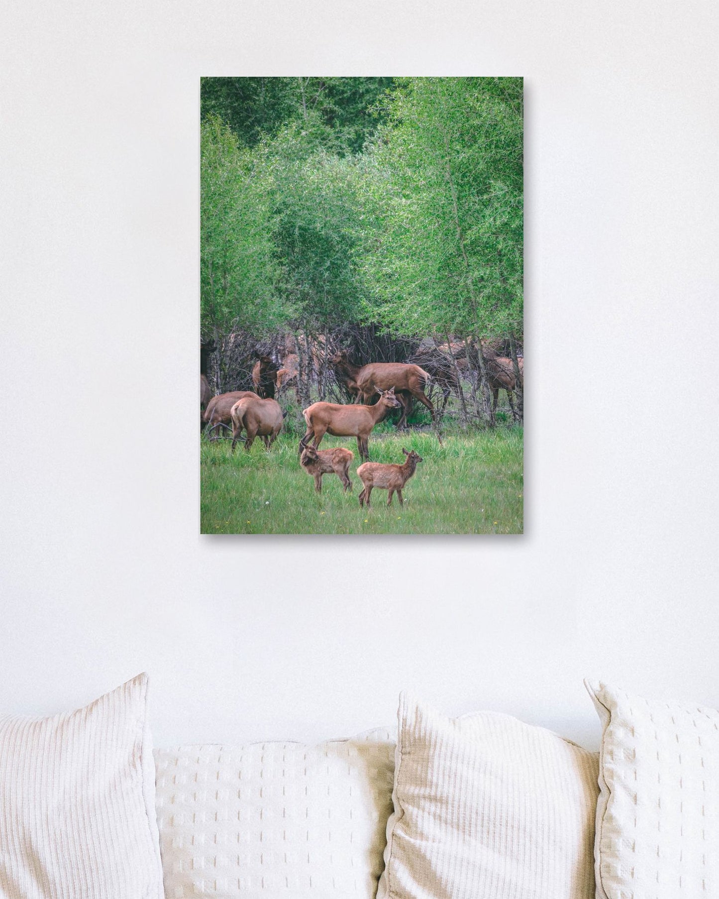 Animal 464 - @UPGallery