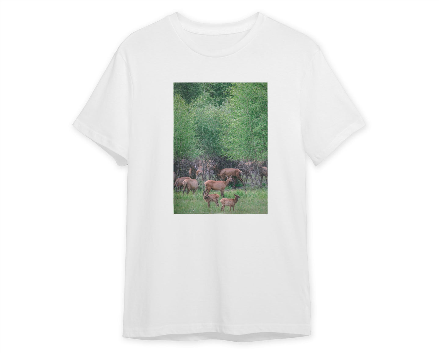 Animal 464 - @UPGallery