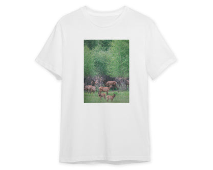 Animal 464 - @UPGallery