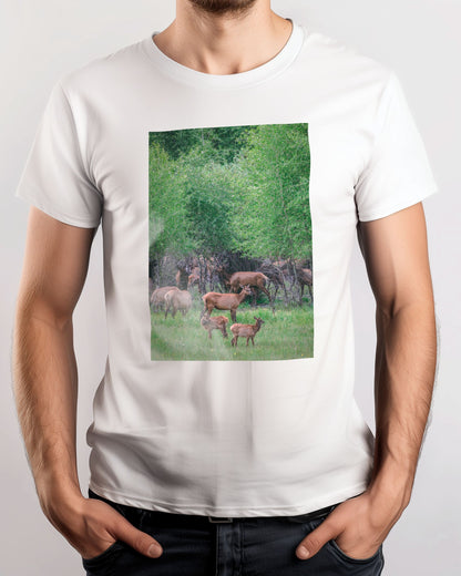 Animal 464 - @UPGallery