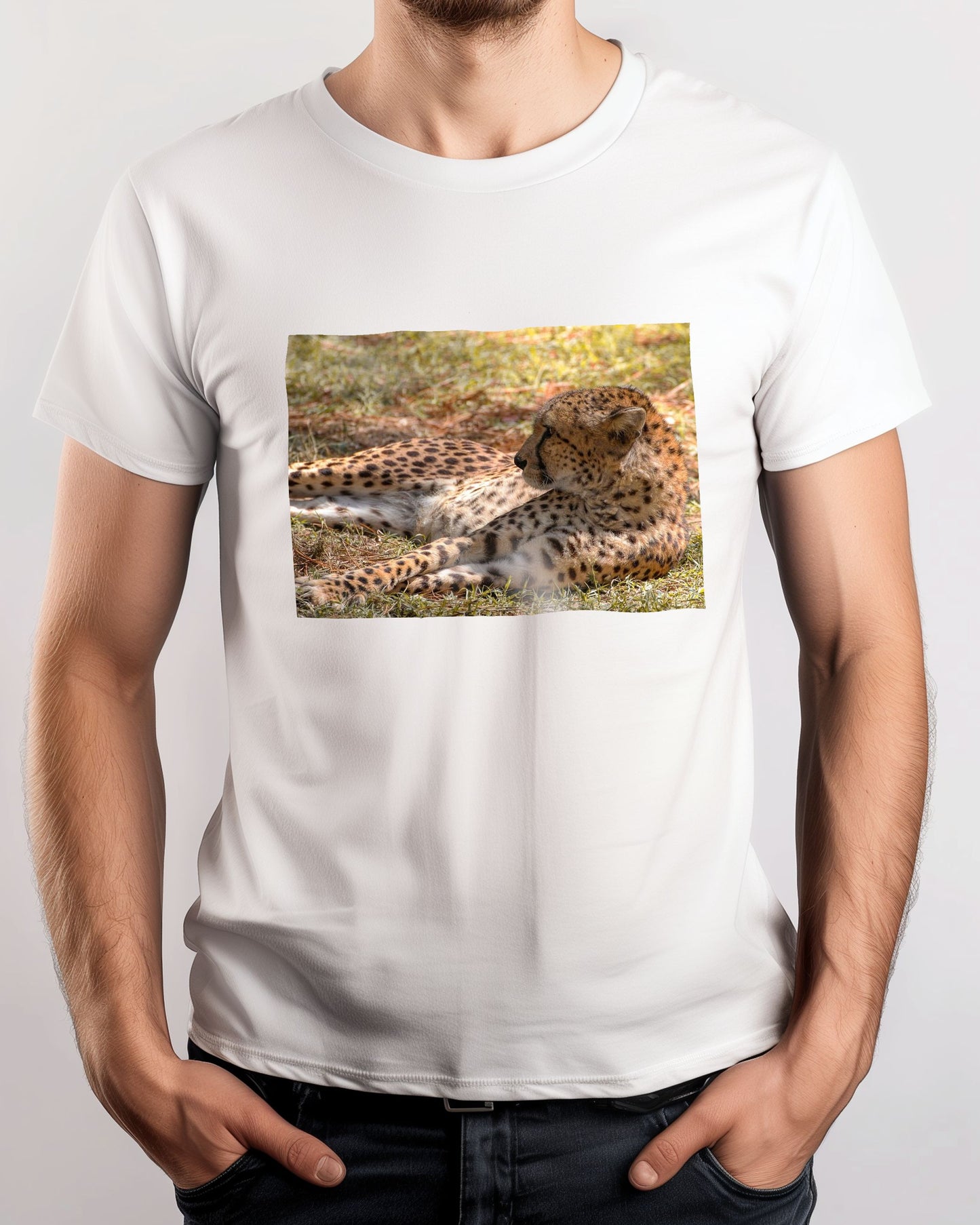 Animal 47 - @UPGallery