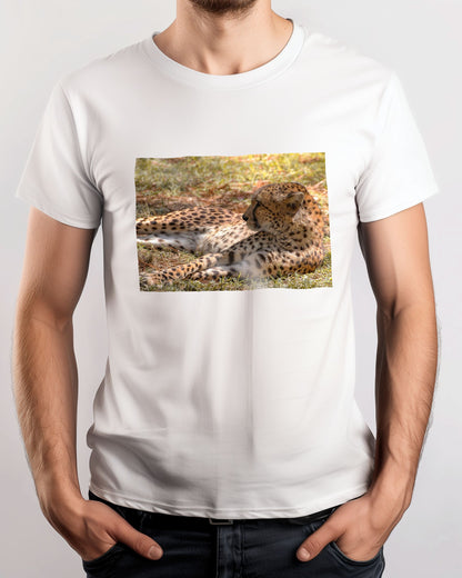 Animal 47 - @UPGallery