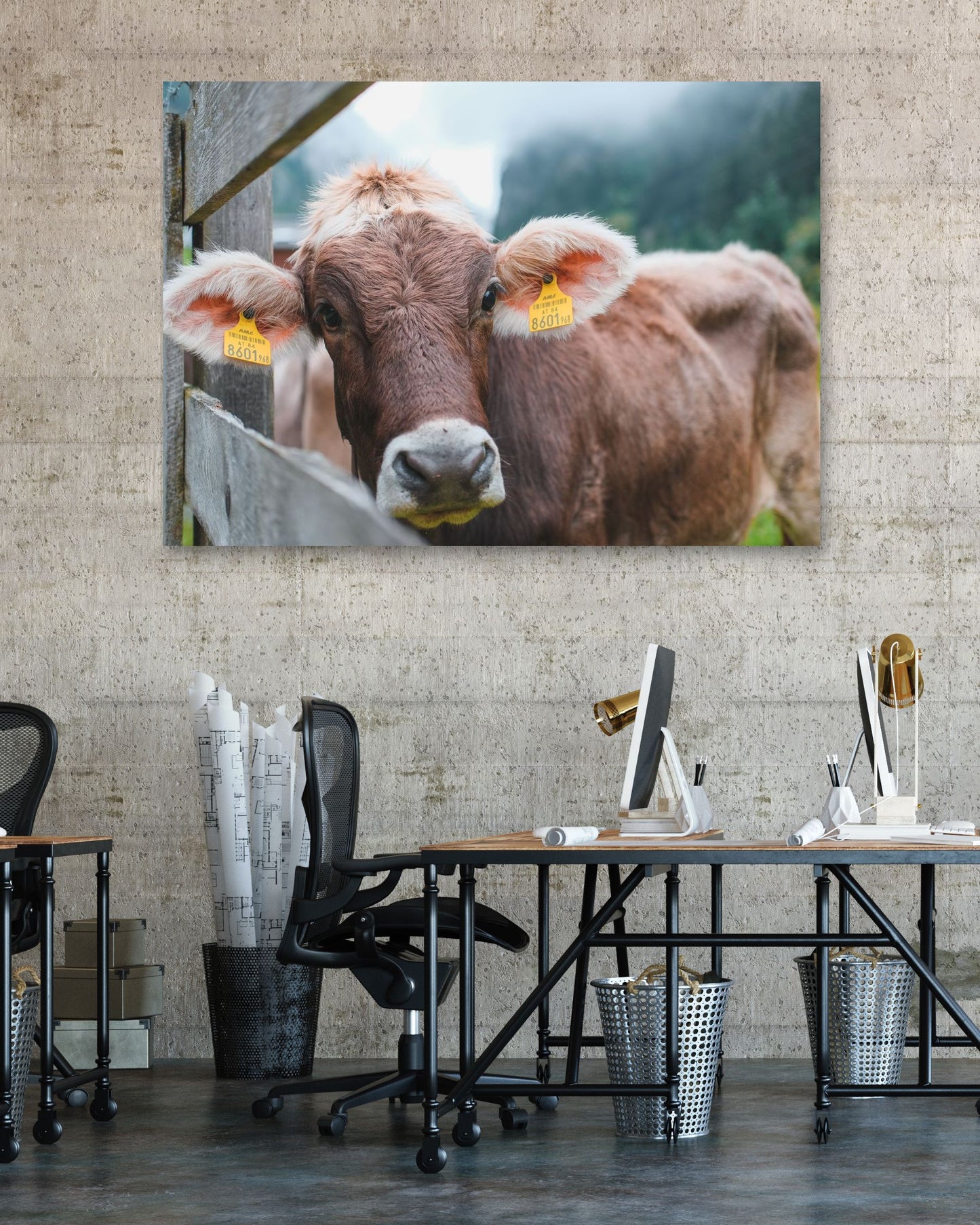 Animal 471 - @UPGallery