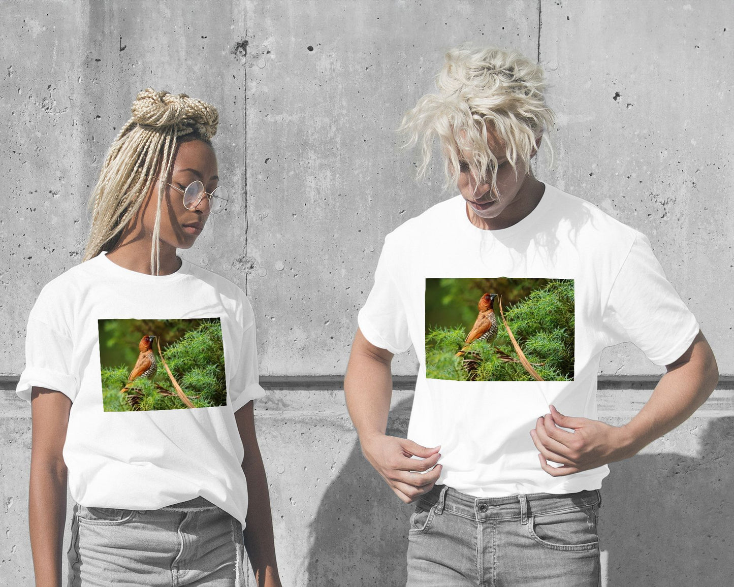 Animal 473 - @UPGallery