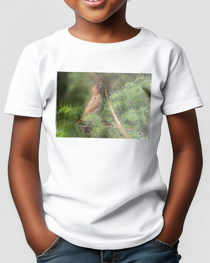 Animal 473 - @UPGallery