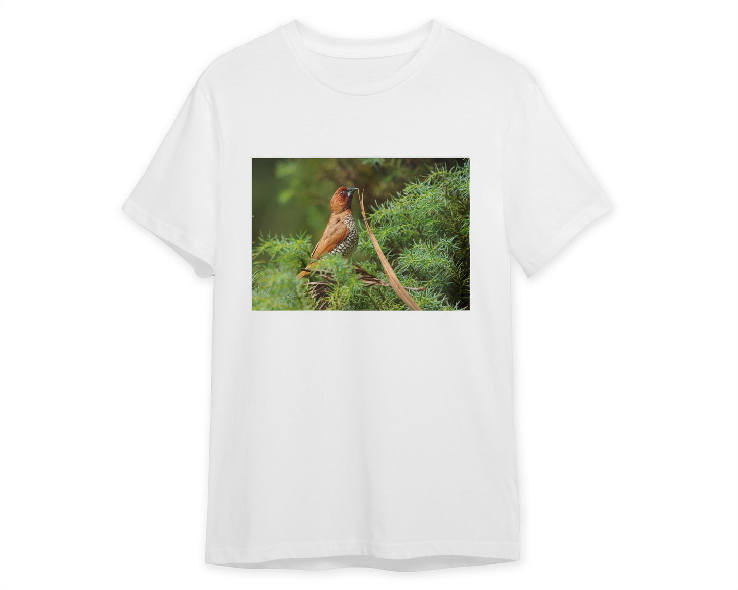 Animal 473 - @UPGallery