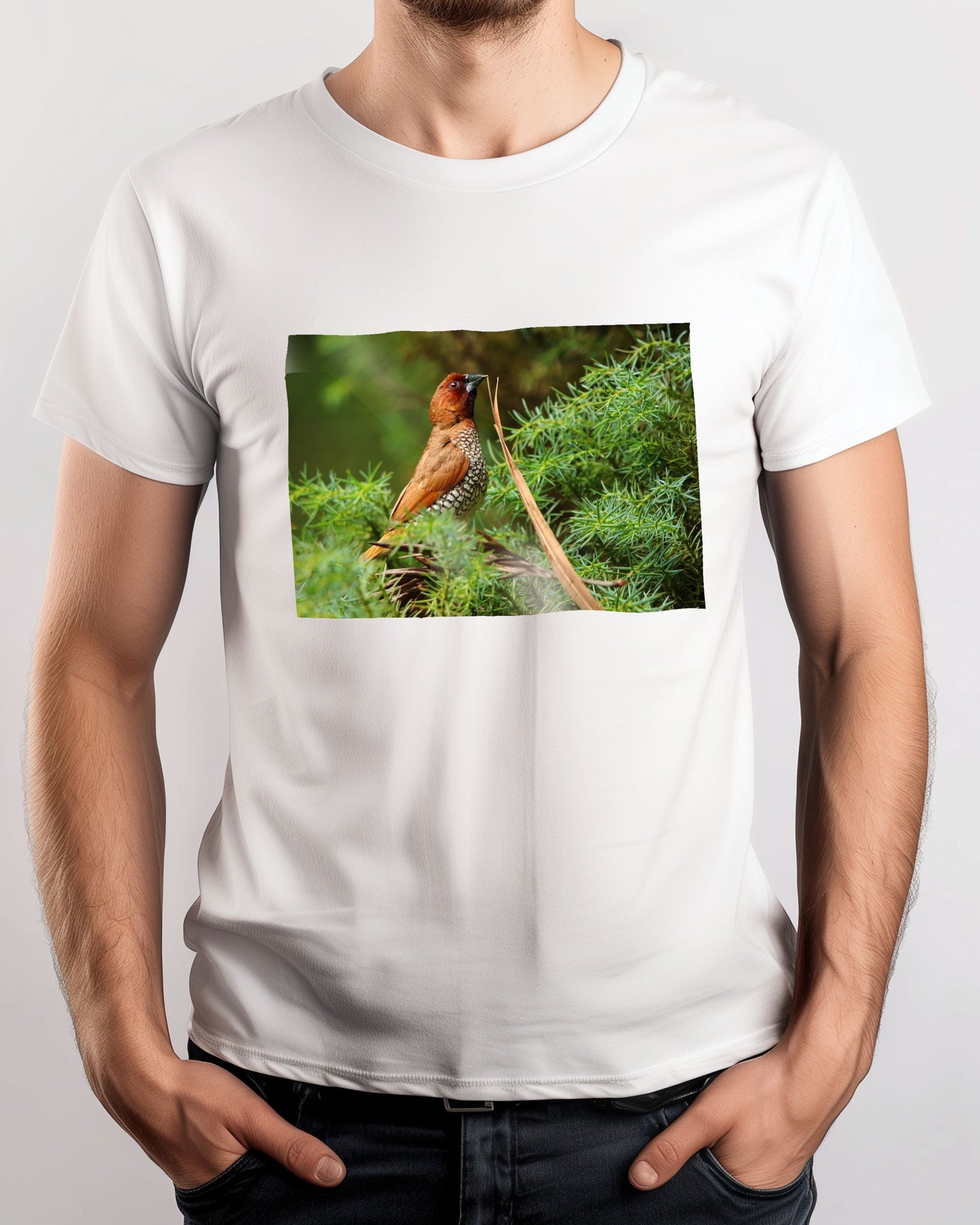 Animal 473 - @UPGallery