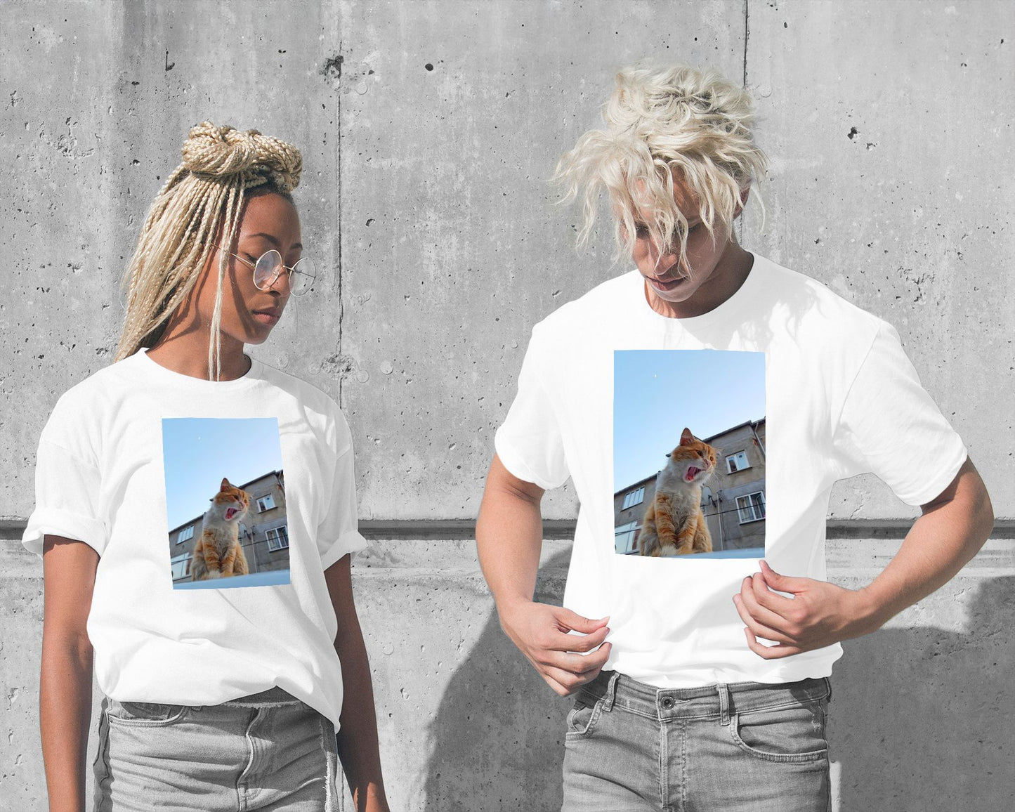 Animal 474 - @UPGallery