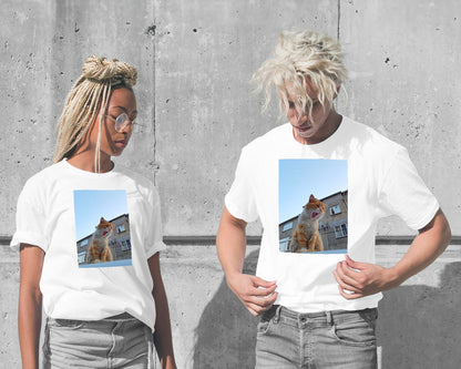 Animal 474 - @UPGallery