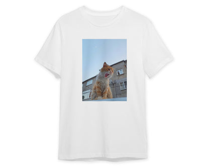 Animal 474 - @UPGallery