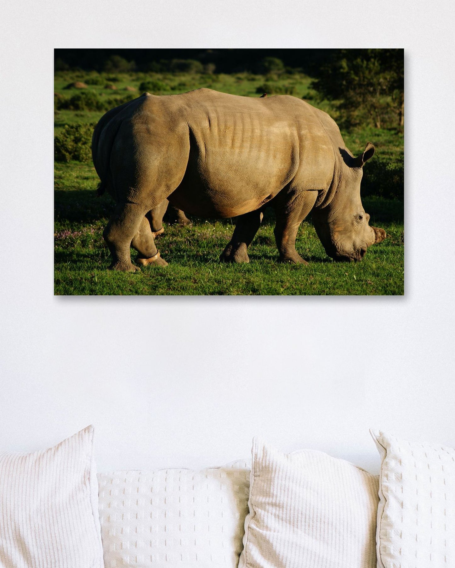 Animal 476 - @UPGallery