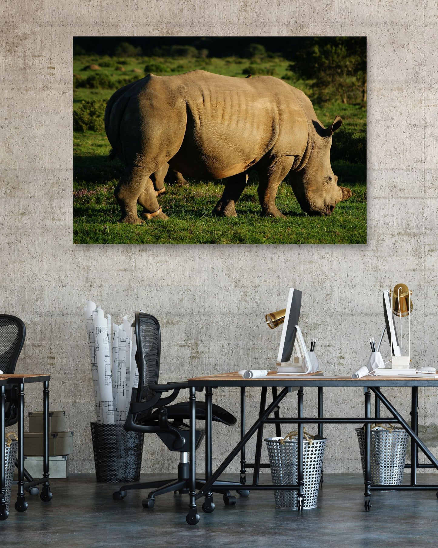 Animal 476 - @UPGallery