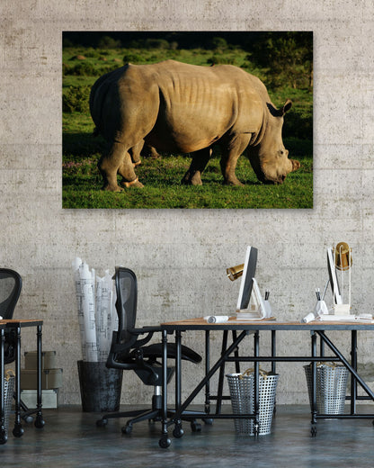 Animal 476 - @UPGallery