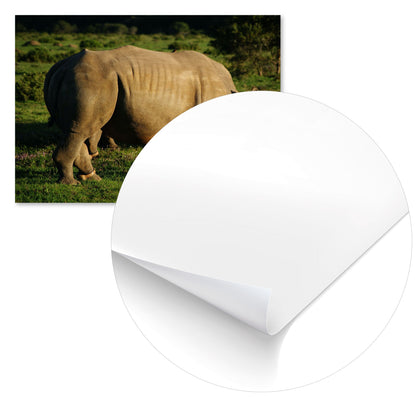 Animal 476 - @UPGallery