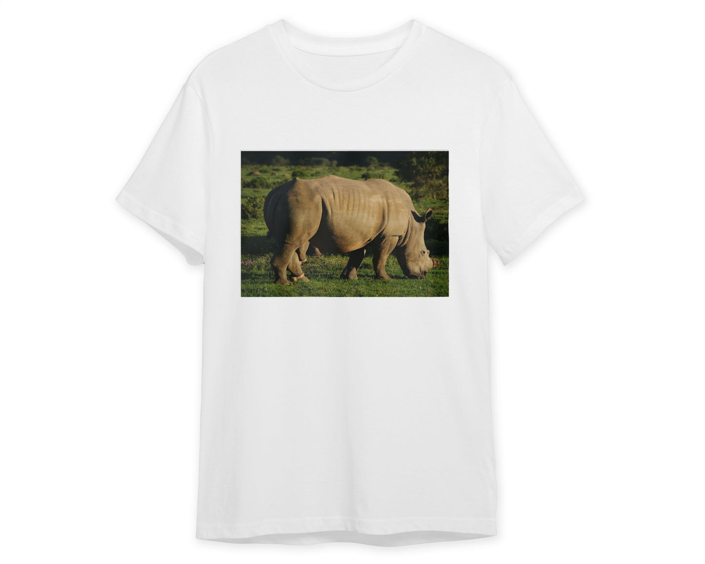 Animal 476 - @UPGallery