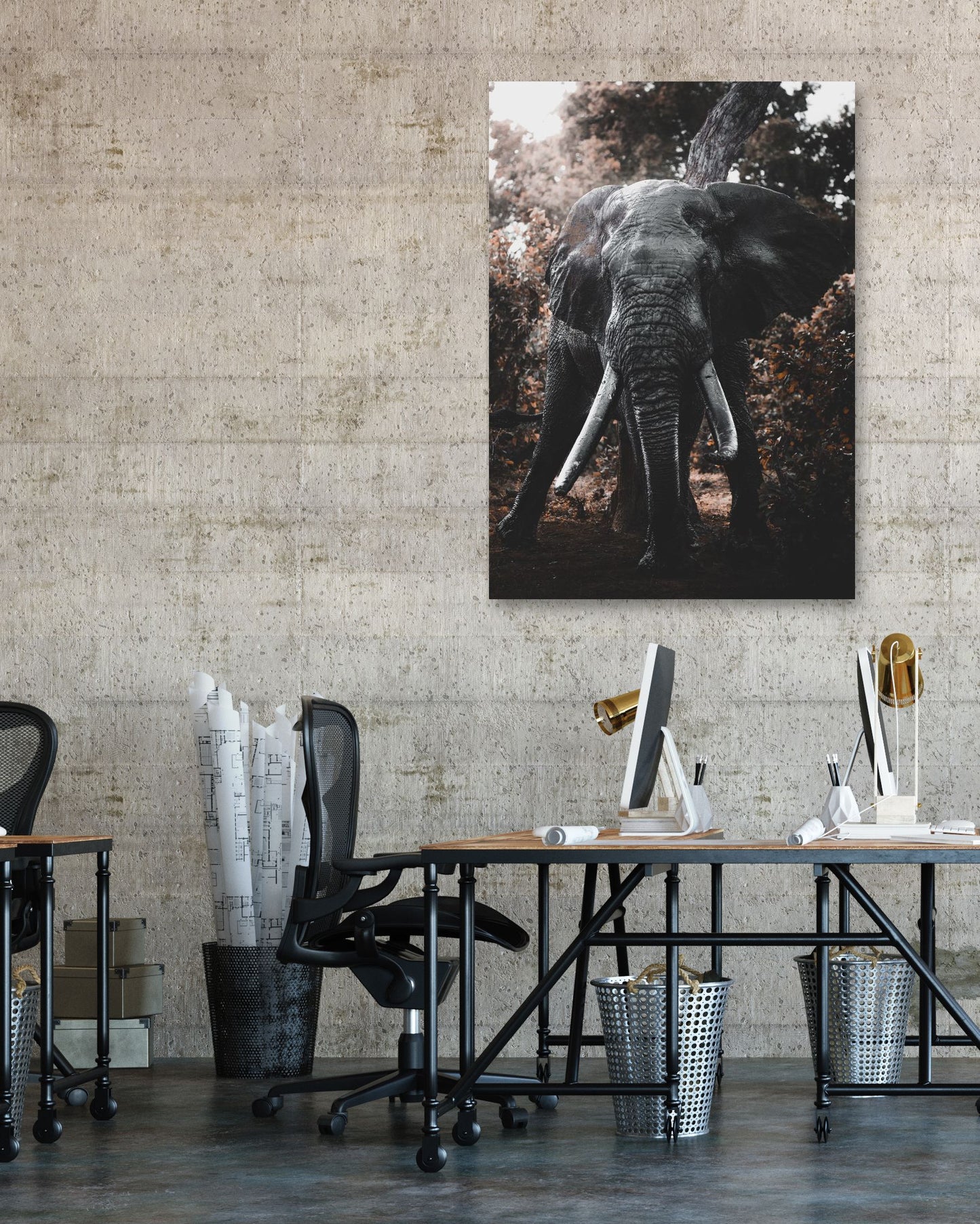 Animal 477 - @UPGallery