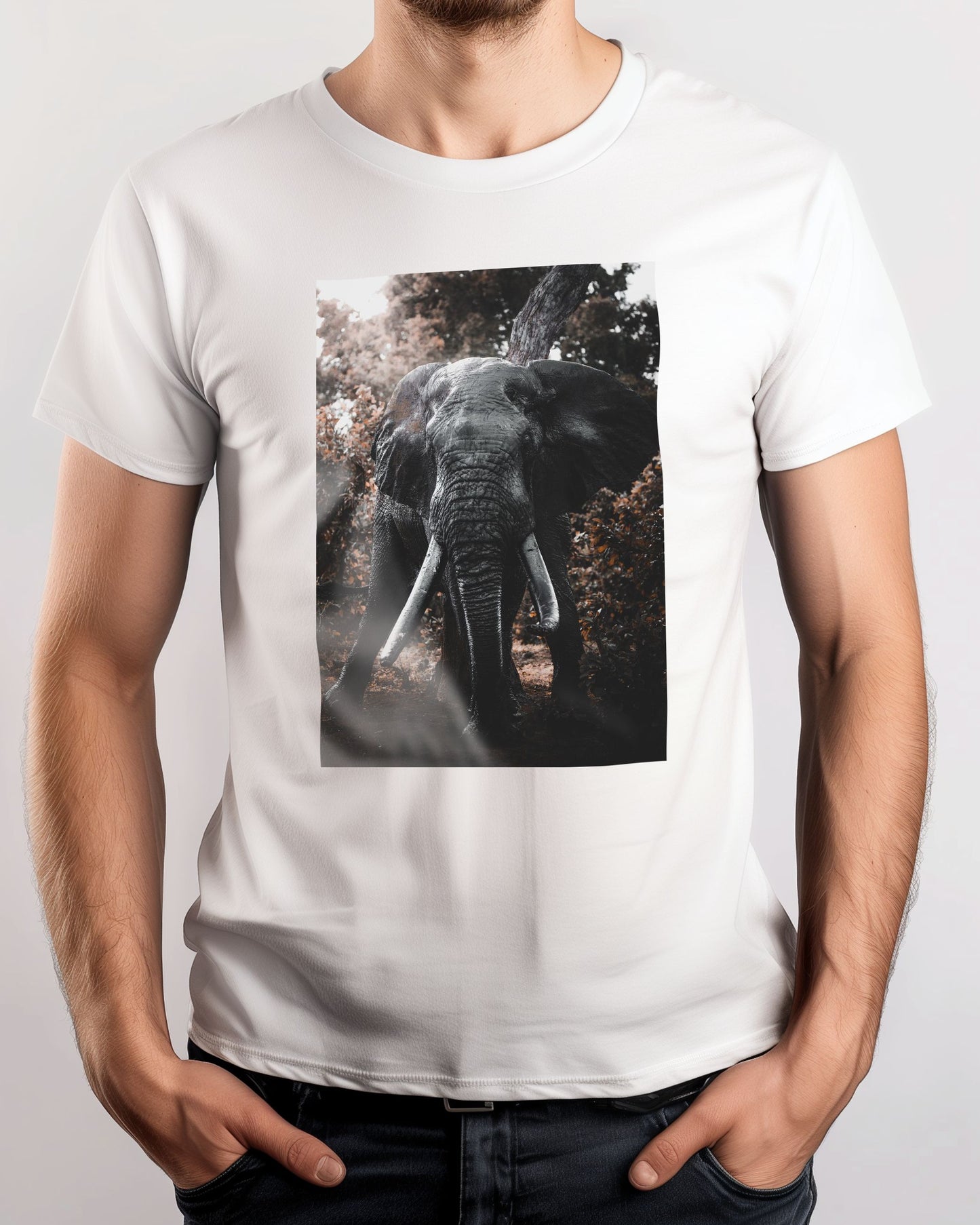 Animal 477 - @UPGallery