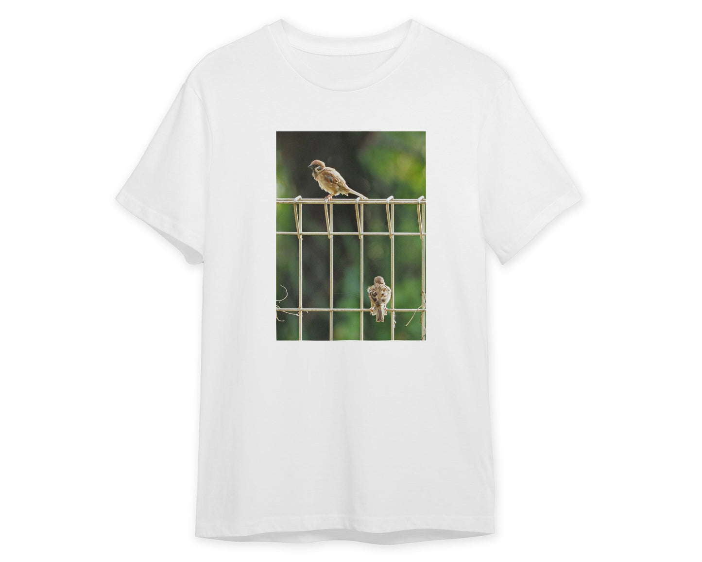 Animal 48 - @UPGallery