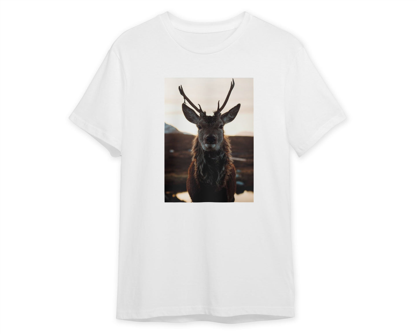 Animal 491 - @UPGallery