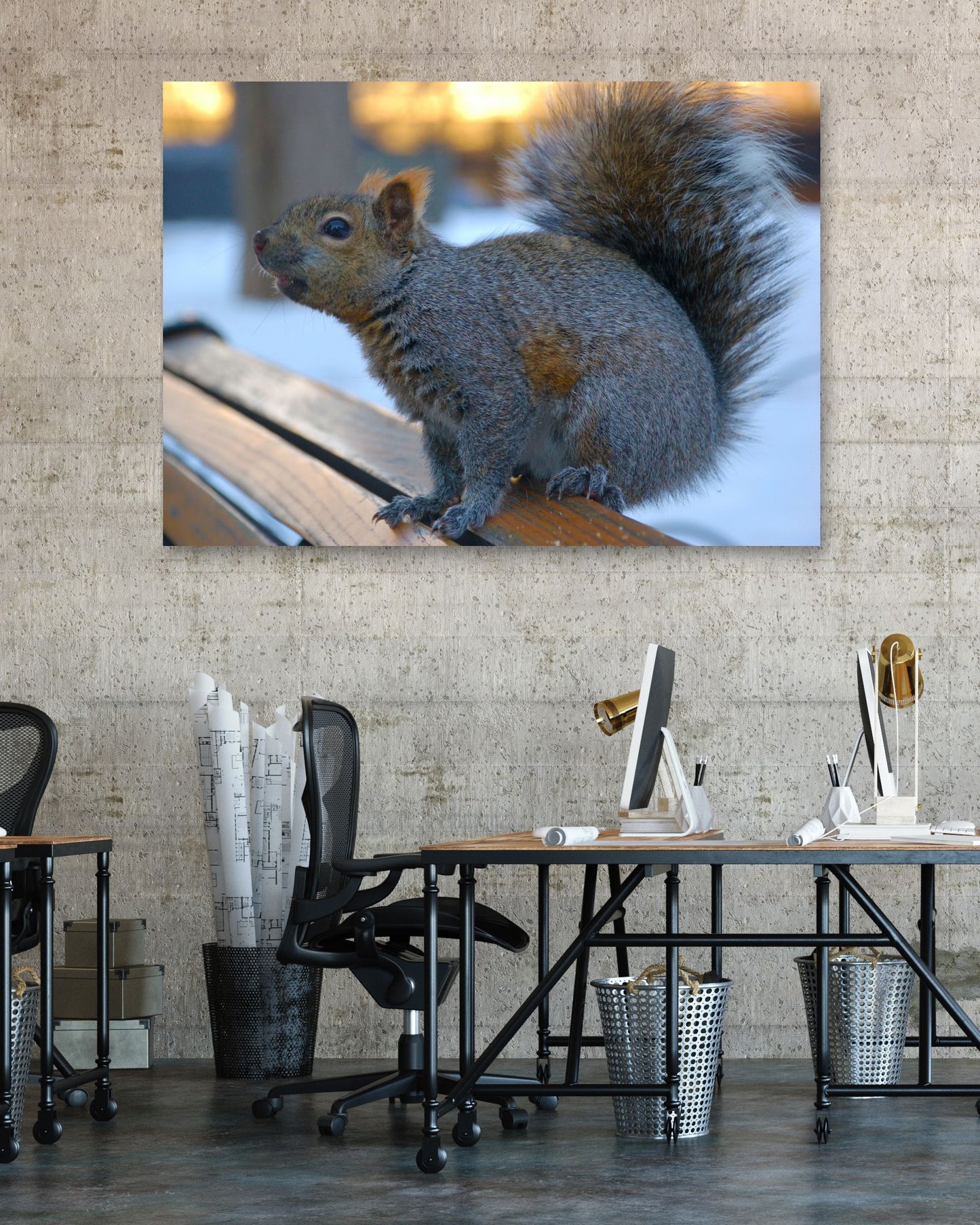 Animal 501 - @UPGallery