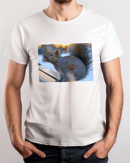 Animal 501 - @UPGallery