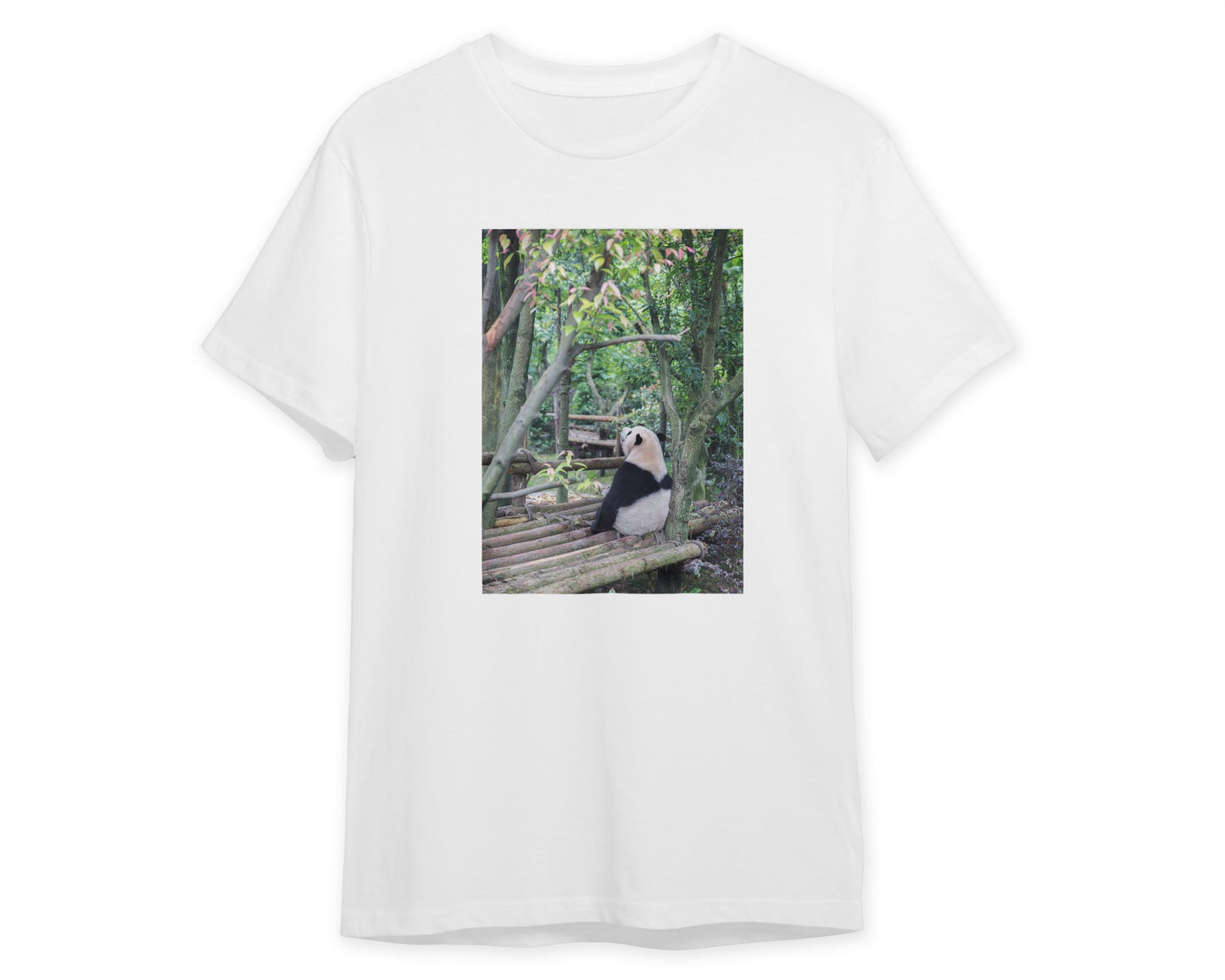 Animal 502 - @UPGallery