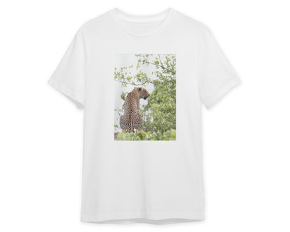 Animal 521 - @UPGallery