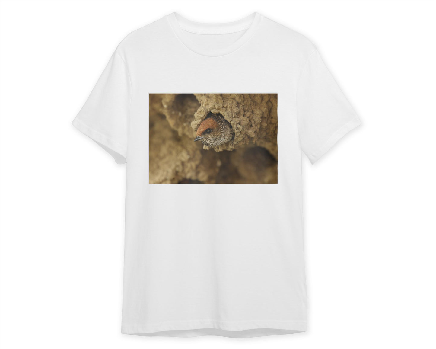 Animal 539 - @UPGallery