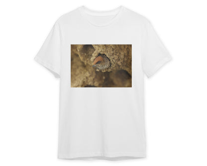 Animal 539 - @UPGallery