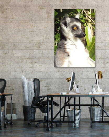 Animal 559 - @UPGallery